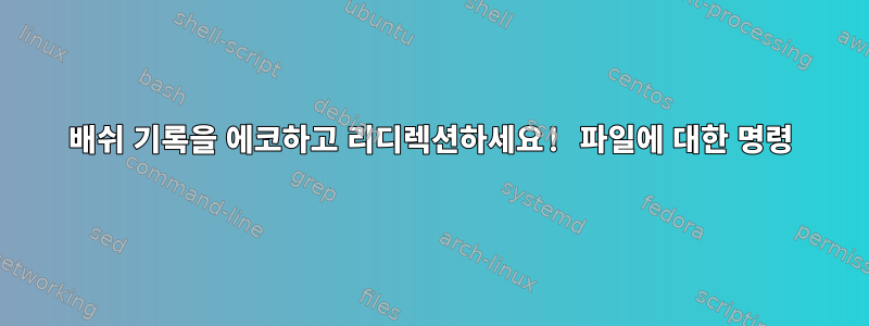 배쉬 기록을 에코하고 리디렉션하세요! 파일에 대한 명령