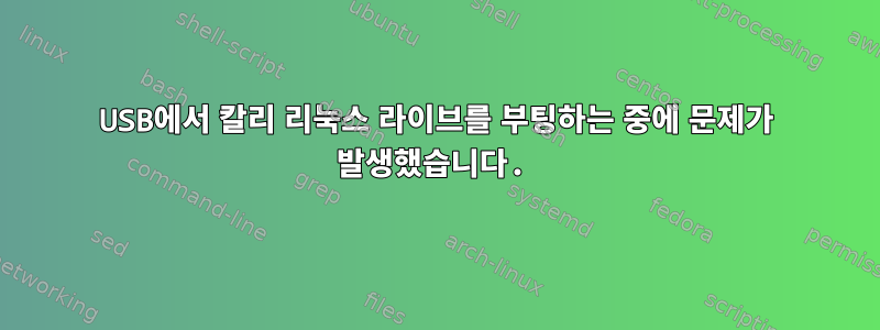 USB에서 칼리 리눅스 라이브를 부팅하는 중에 문제가 발생했습니다.