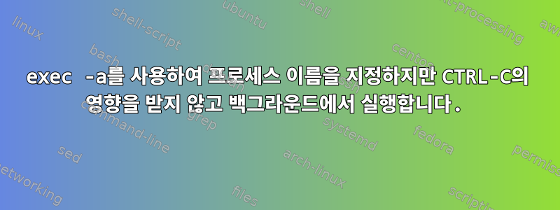 exec -a를 사용하여 프로세스 이름을 지정하지만 CTRL-C의 영향을 받지 않고 백그라운드에서 실행합니다.