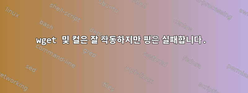 wget 및 컬은 잘 작동하지만 핑은 실패합니다.