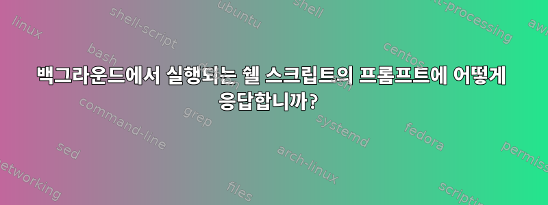 백그라운드에서 실행되는 쉘 스크립트의 프롬프트에 어떻게 응답합니까?