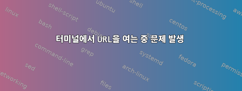 터미널에서 URL을 여는 중 문제 발생