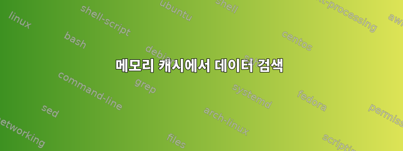 메모리 캐시에서 데이터 검색