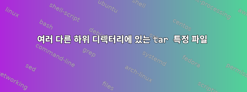 여러 다른 하위 디렉터리에 있는 tar 특정 파일