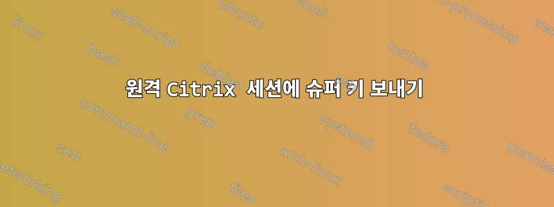 원격 Citrix 세션에 슈퍼 키 보내기