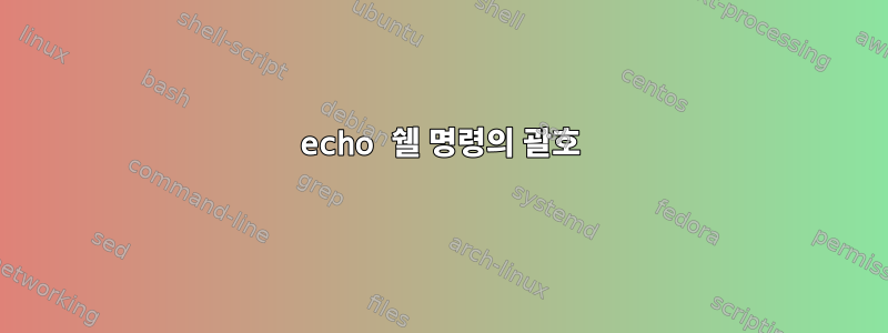 echo 쉘 명령의 괄호