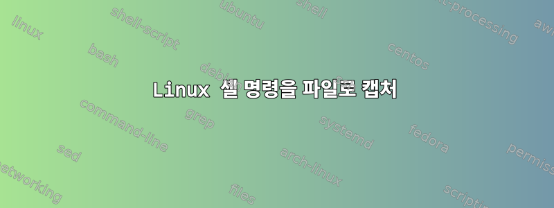 Linux 셸 명령을 파일로 캡처