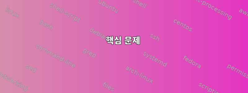 핵심 문제