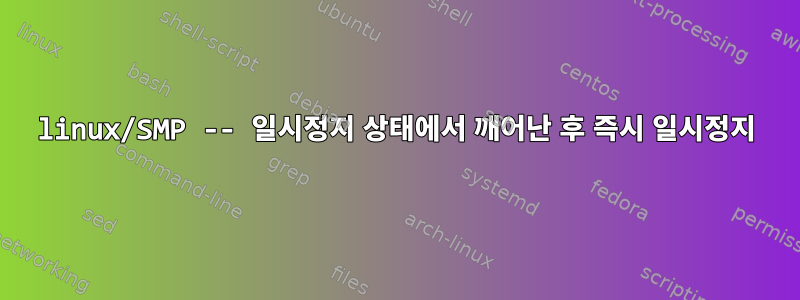 linux/SMP -- 일시정지 상태에서 깨어난 후 즉시 일시정지