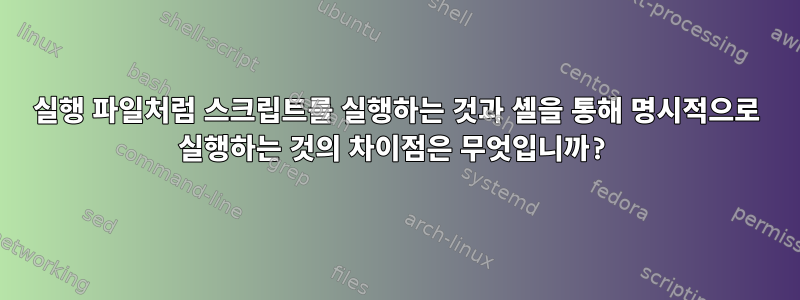 실행 파일처럼 스크립트를 실행하는 것과 셸을 통해 명시적으로 실행하는 것의 차이점은 무엇입니까?