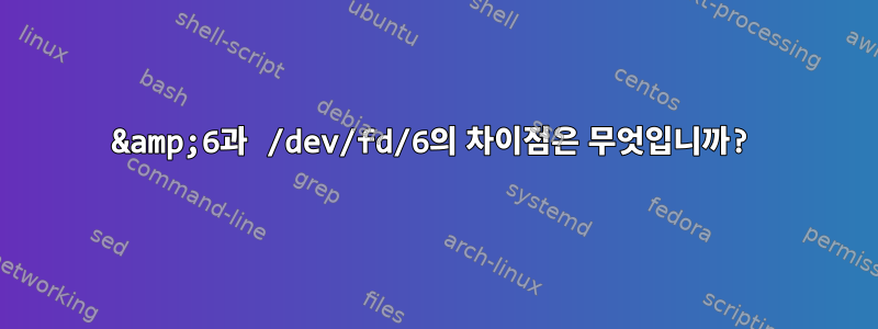 &amp;6과 /dev/fd/6의 차이점은 무엇입니까?