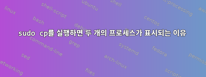 sudo cp를 실행하면 두 개의 프로세스가 표시되는 이유