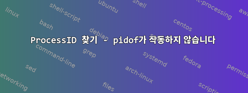 ProcessID 찾기 - pidof가 작동하지 않습니다