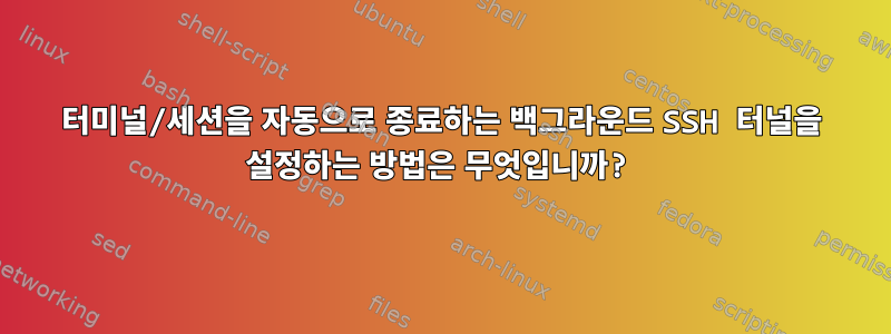 터미널/세션을 자동으로 종료하는 백그라운드 SSH 터널을 설정하는 방법은 무엇입니까?