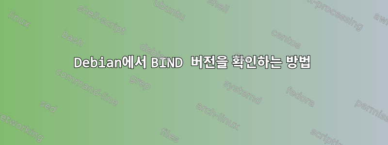 Debian에서 BIND 버전을 확인하는 방법