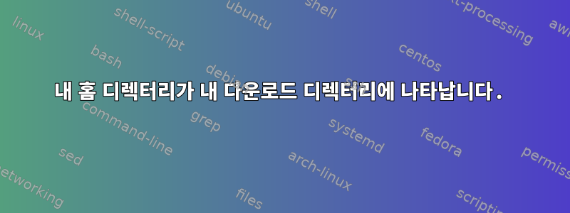 내 홈 디렉터리가 내 다운로드 디렉터리에 나타납니다.