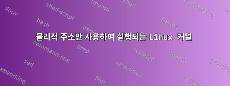 물리적 주소만 사용하여 실행되는 Linux 커널