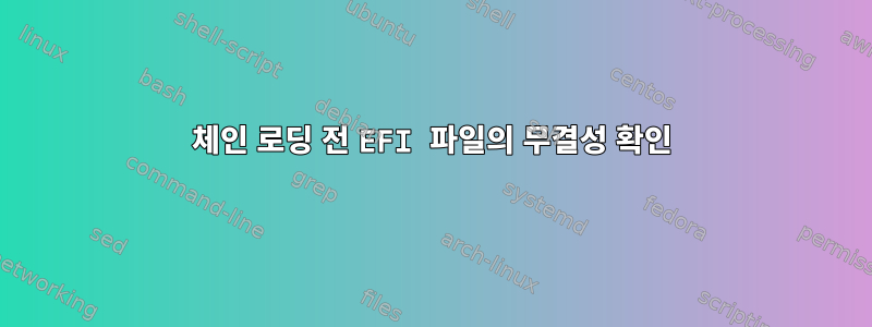 체인 로딩 전 EFI 파일의 무결성 확인