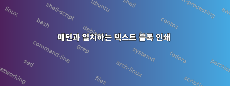 패턴과 일치하는 텍스트 블록 인쇄