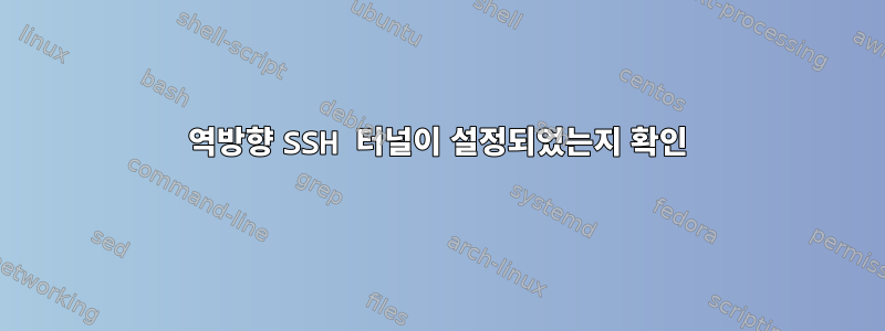 역방향 SSH 터널이 설정되었는지 확인