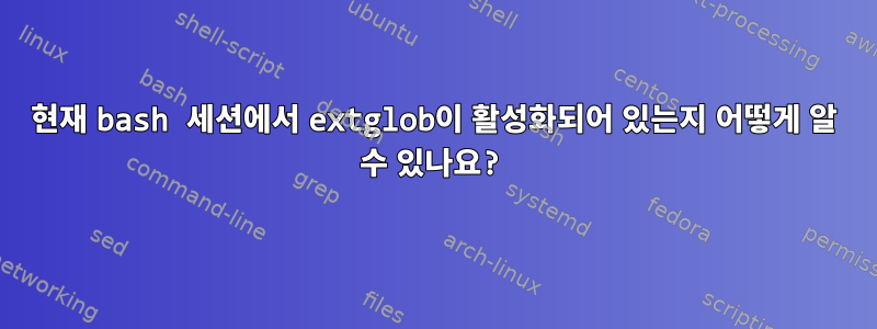 현재 bash 세션에서 extglob이 활성화되어 있는지 어떻게 알 수 있나요?