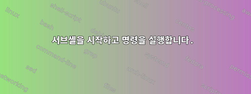 서브셸을 시작하고 명령을 실행합니다.