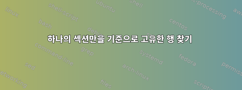 하나의 섹션만을 기준으로 고유한 행 찾기