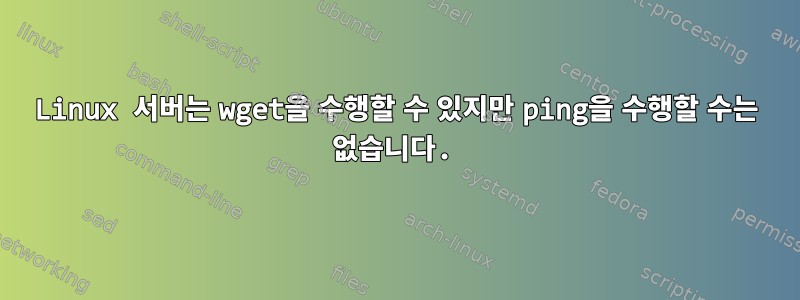 Linux 서버는 wget을 수행할 수 있지만 ping을 수행할 수는 없습니다.