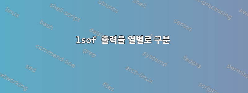 lsof 출력을 열별로 구분