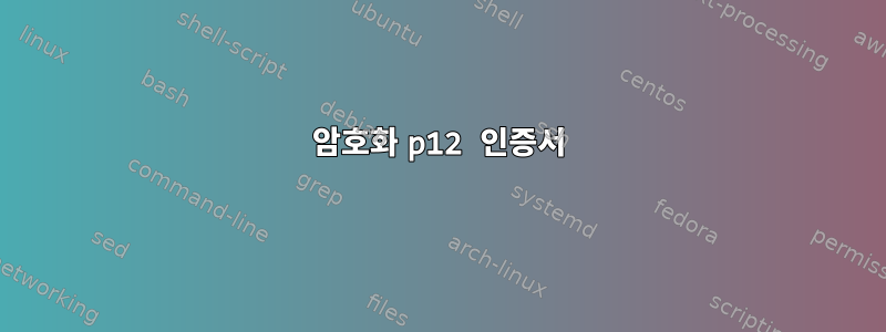 암호화 p12 인증서