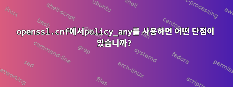 openssl.cnf에서policy_any를 사용하면 어떤 단점이 있습니까?