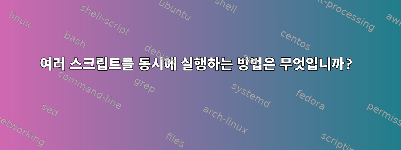 여러 스크립트를 동시에 실행하는 방법은 무엇입니까?