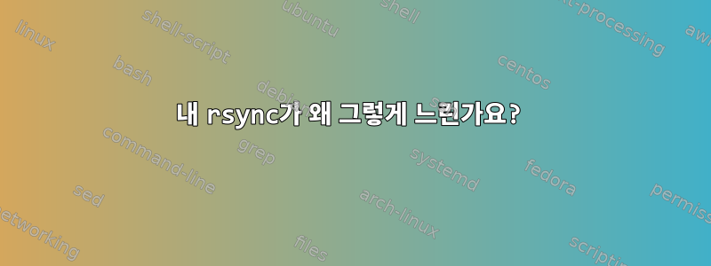 내 rsync가 왜 그렇게 느린가요?