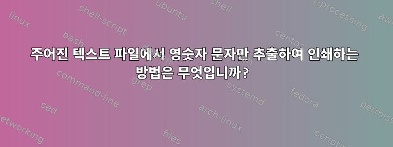 주어진 텍스트 파일에서 영숫자 문자만 추출하여 인쇄하는 방법은 무엇입니까?