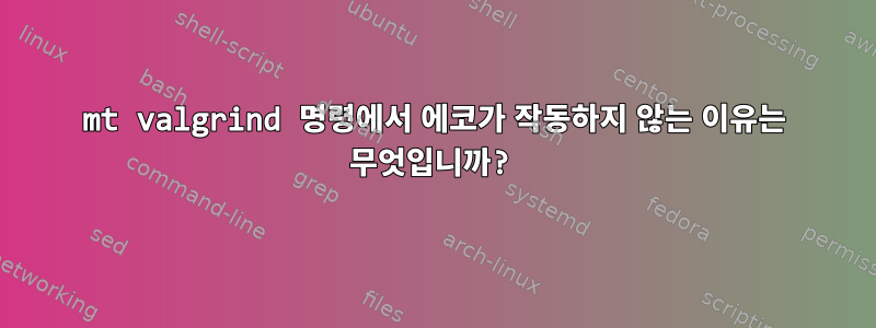 mt valgrind 명령에서 에코가 작동하지 않는 이유는 무엇입니까?