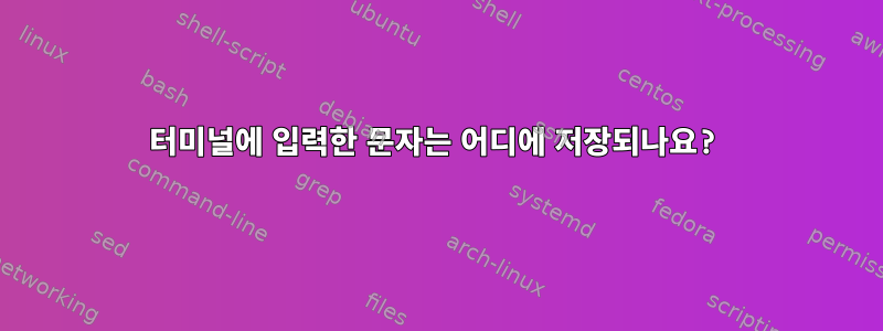 터미널에 입력한 문자는 어디에 저장되나요?