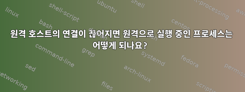 원격 호스트의 연결이 끊어지면 원격으로 실행 중인 프로세스는 어떻게 되나요?