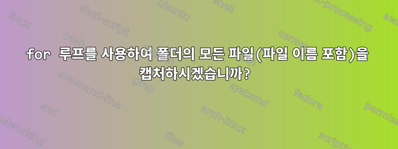 for 루프를 사용하여 폴더의 모든 파일(파일 이름 포함)을 캡처하시겠습니까?