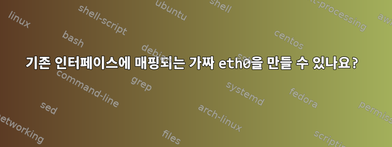 기존 인터페이스에 매핑되는 가짜 eth0을 만들 수 있나요?