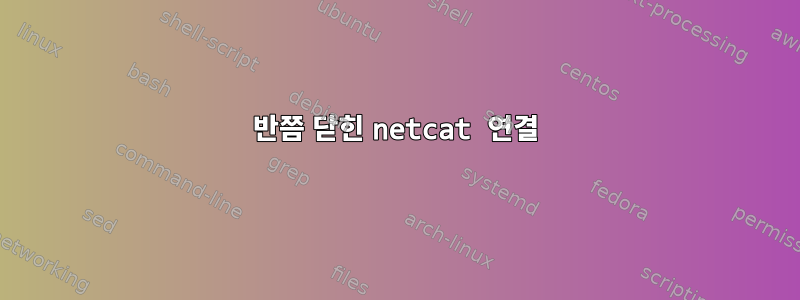 반쯤 닫힌 netcat 연결