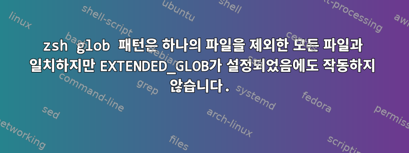 zsh glob 패턴은 하나의 파일을 제외한 모든 파일과 일치하지만 EXTENDED_GLOB가 설정되었음에도 작동하지 않습니다.