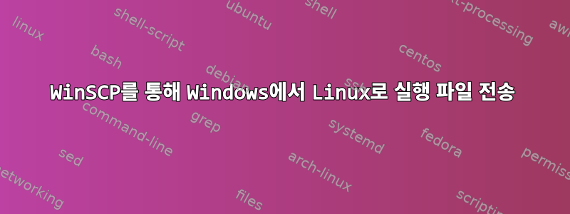 WinSCP를 통해 Windows에서 Linux로 실행 파일 전송