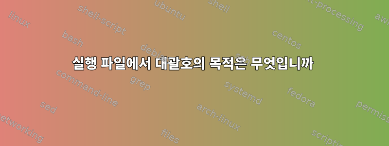 실행 파일에서 대괄호의 목적은 무엇입니까