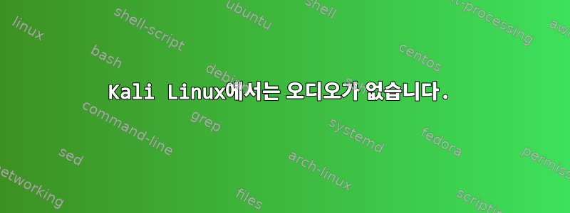 Kali Linux에서는 오디오가 없습니다.