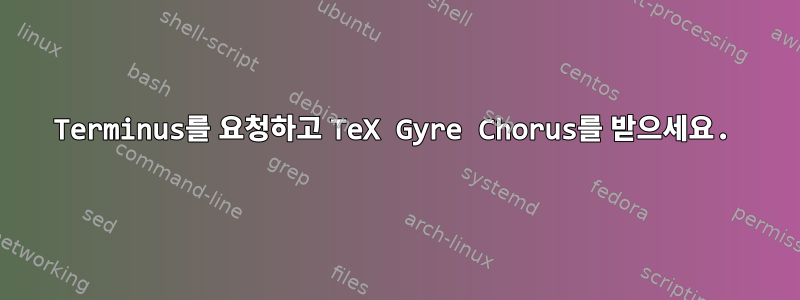 Terminus를 요청하고 TeX Gyre Chorus를 받으세요.