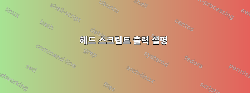 헤드 스크립트 출력 설명