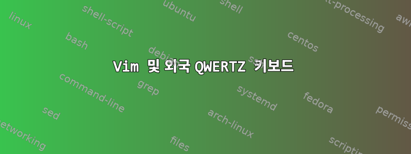 Vim 및 외국 QWERTZ 키보드