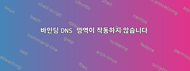 바인딩 DNS 영역이 작동하지 않습니다