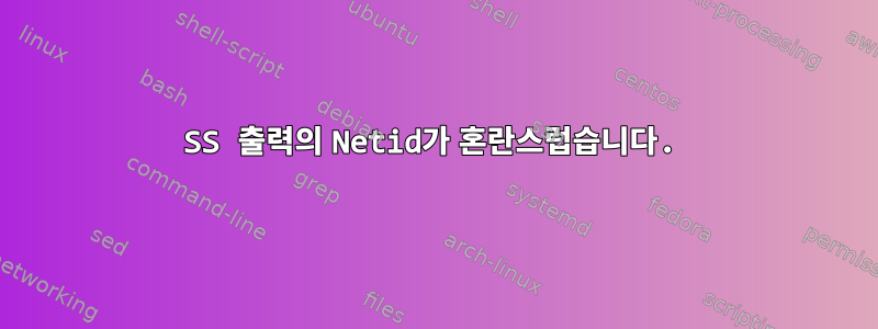 SS 출력의 Netid가 혼란스럽습니다.