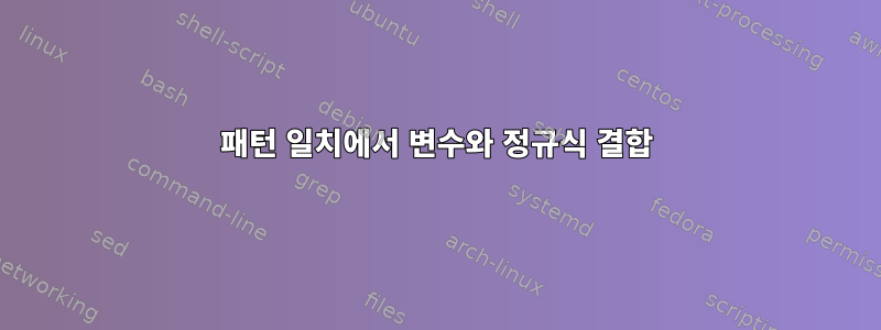 패턴 일치에서 변수와 정규식 결합